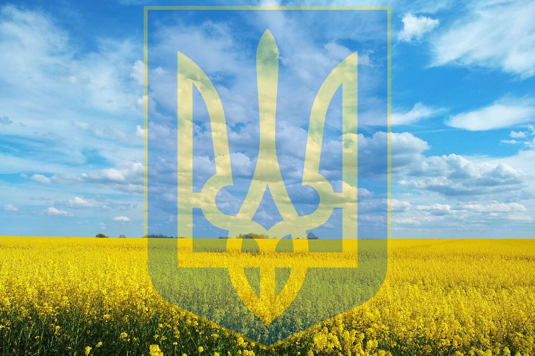 День Конституції України!