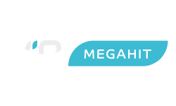 Логотип телеканалу ViP Megahit HD