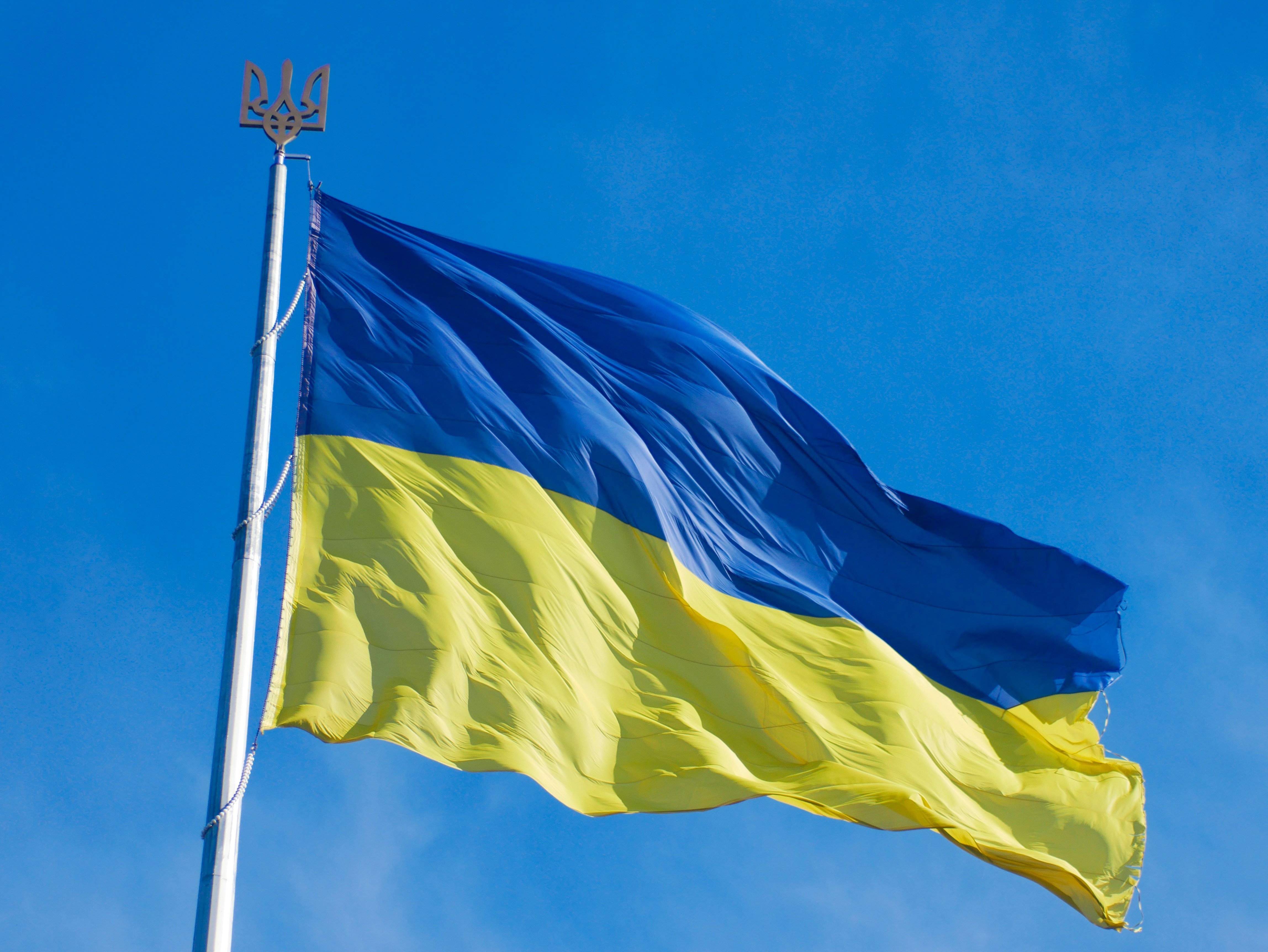 З Днем Конституції!