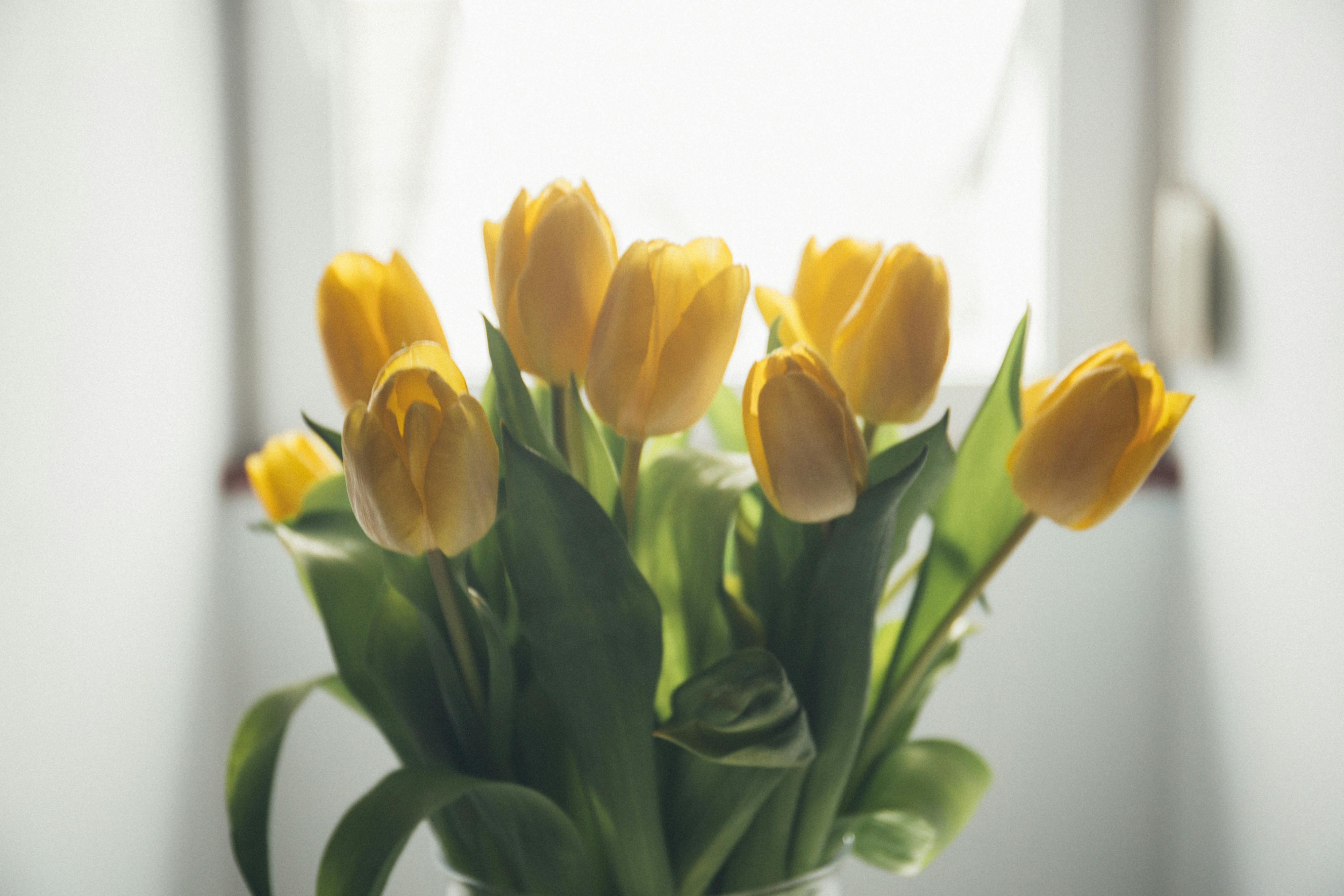 Привітання з 8 березня 2024