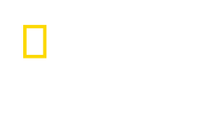 Логотип телеканалу Nat Geo Wild