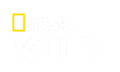 Логотип телеканалу Nat Geo Wild