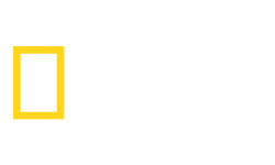 Логотип телеканалу National Geographic