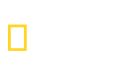 Логотип телеканалу National Geographic HD