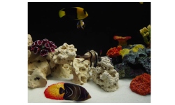 Логотип телеканалу Aquarium 4K