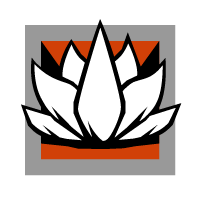 Aruni