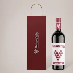 Bordeaux Paper Bag for Wine Bottles Thumbnail
