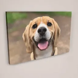 Landscape Canvas Print Thumbnail