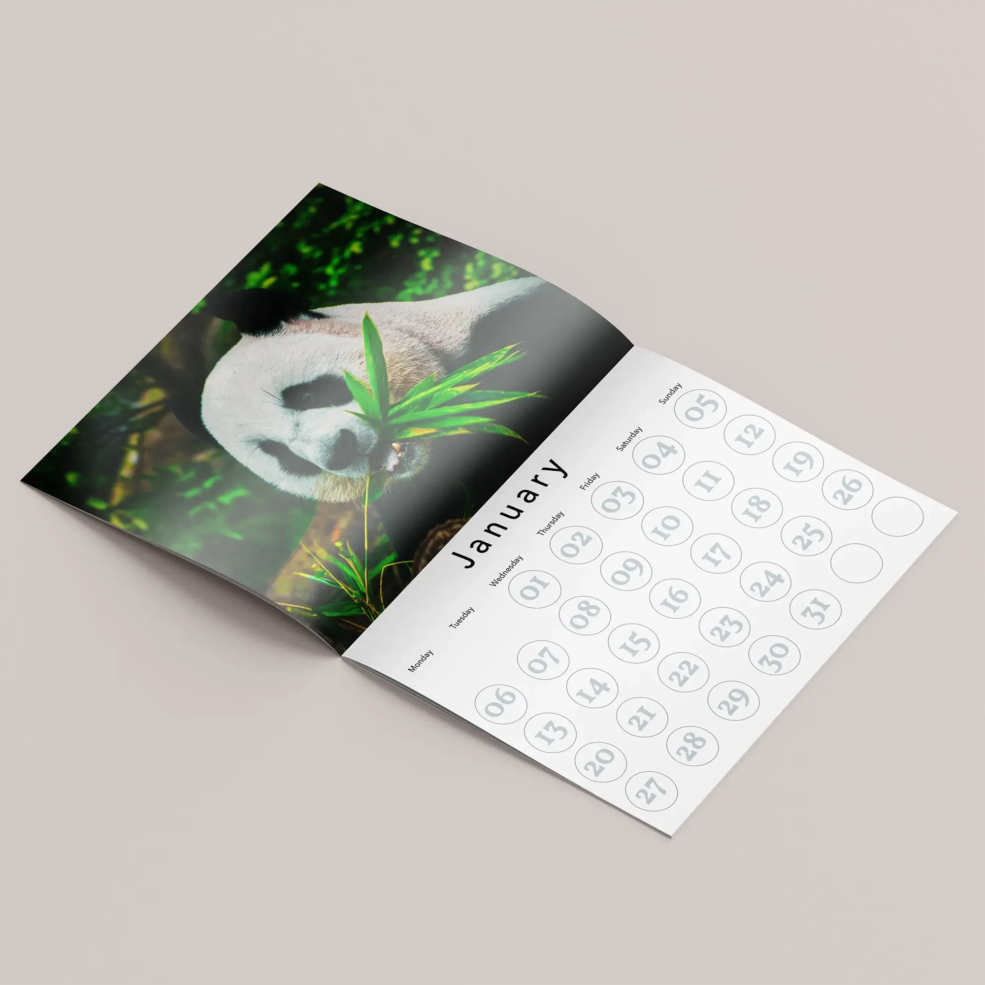 Custom Calendars
