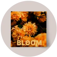 Drop-shipping-on Canvas prints