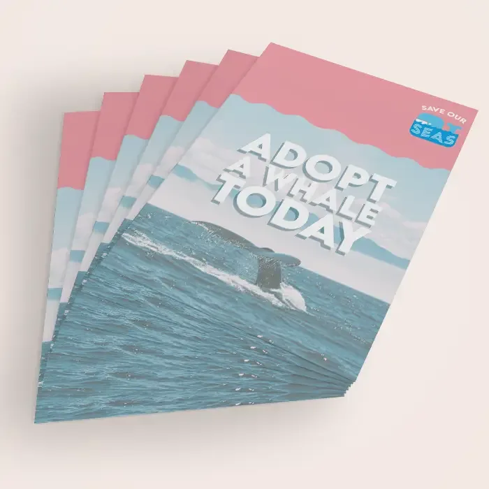 Charity flyers