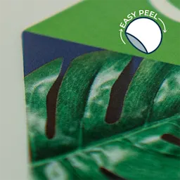 Removable Coated Paper Labels Thumbnail
