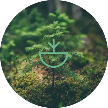 Our commitment to responsibly sourced paper