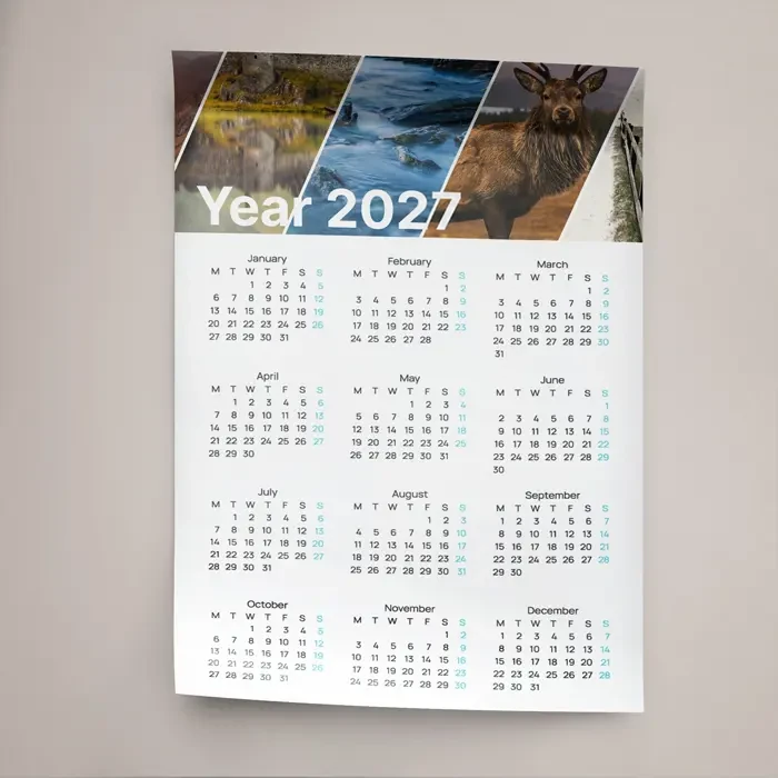 Wall Planners 
