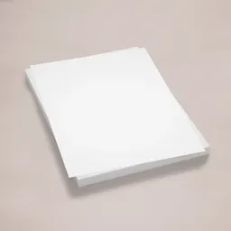A4 Blank Continuation Sheets Thumbnail
