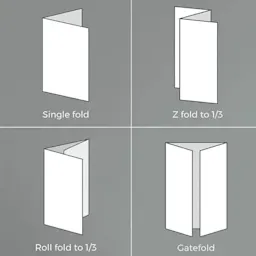 Leaflet Folds Thumbnail