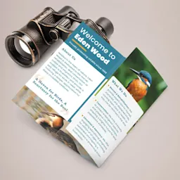 Tri-Fold Leaflet Thumbnail