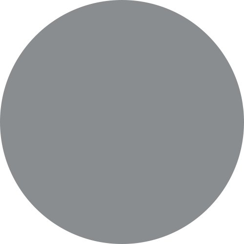 Pantone Silver 877