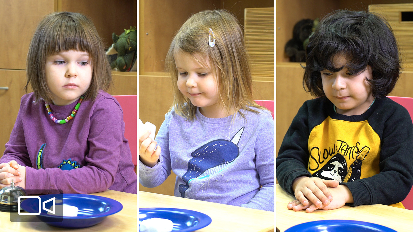 Video The Marshmallow Test in Action Understood For learning and