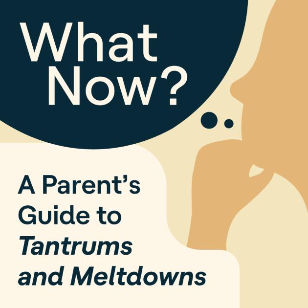 What Now? A Parent's Guide to Tantrums and Meltdowns Podcast