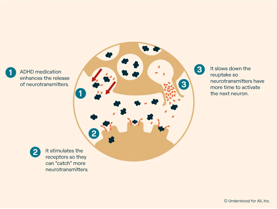How ADHD Medication Works how-adhd-medication-works