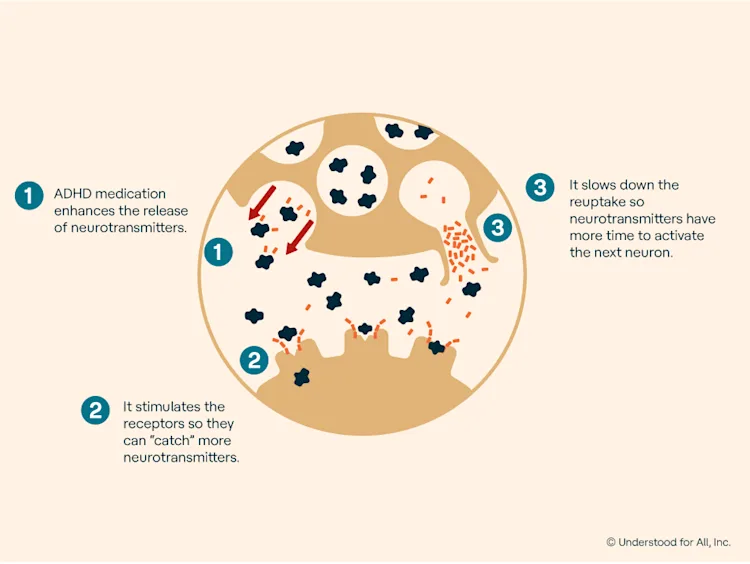 How Adhd Medication Works For Hairstyles how-adhd-medication-works-for-hairstyles