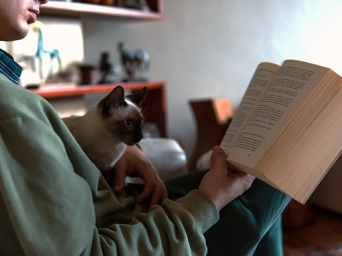 FAQs about vision and dyslexia. A person reads a book with their cat. 