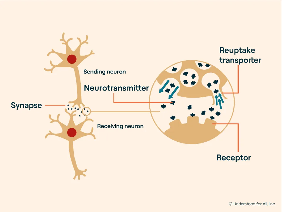 How ADHD medication works