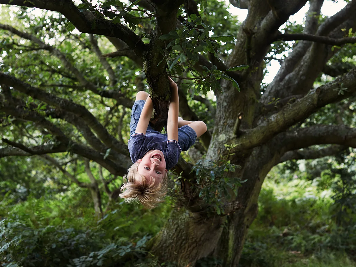 A child smiling and hanging upside down in a tree, holding onto a branch with both hands.