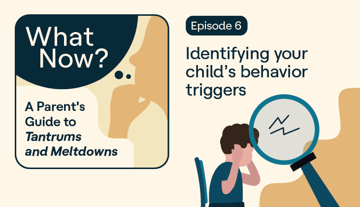 Managing Your Child's Meltdowns and Tantrums