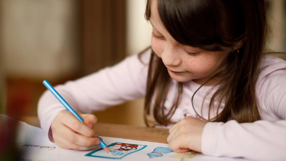 How To Improve Working Memory In Kids - 