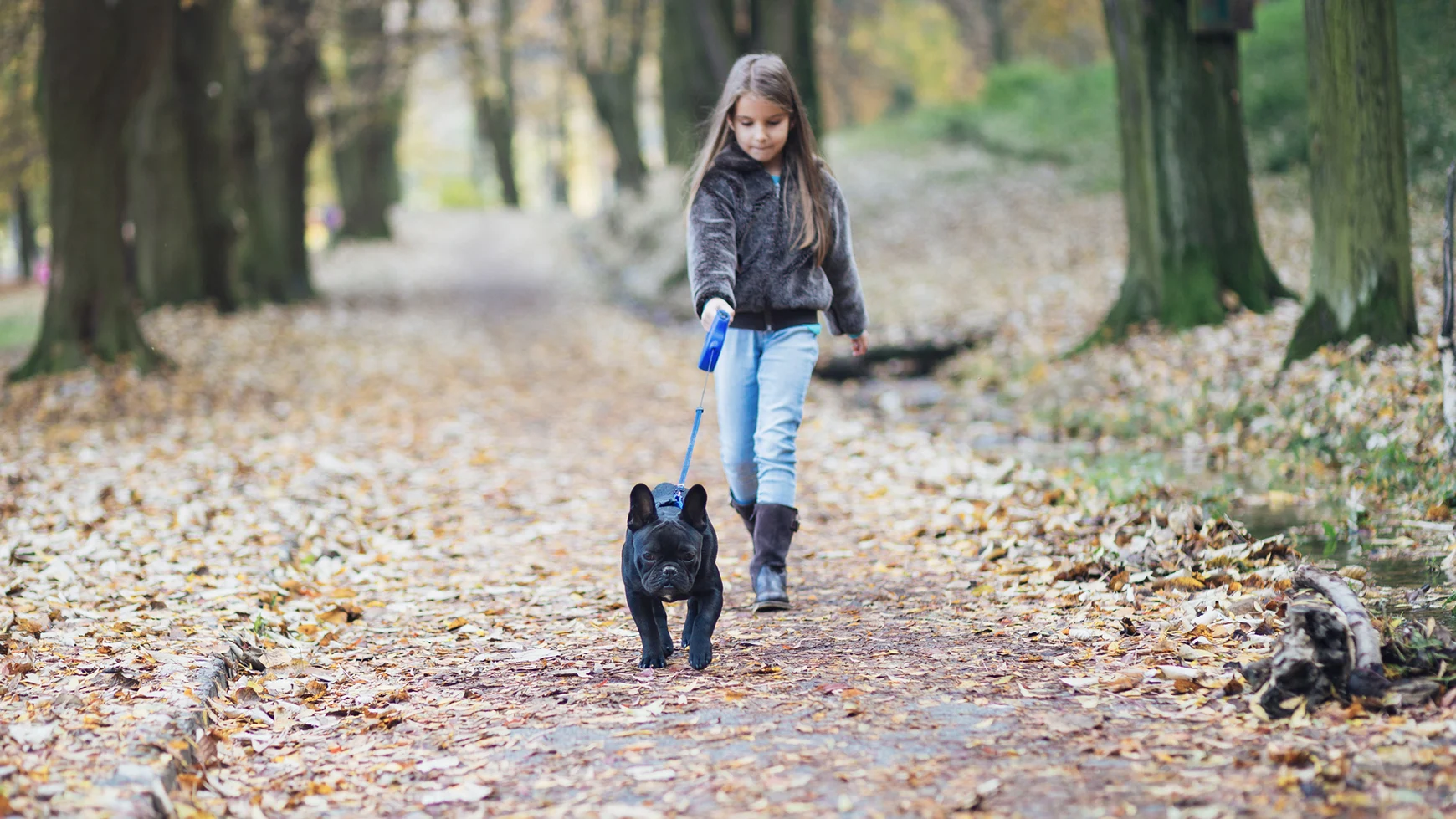 Гуляю басс. Ребенок гуляет с собакой. Прогулка с собакой осенью. Первая прогулка с щенком на улице. Прогулка с щенком в руках.