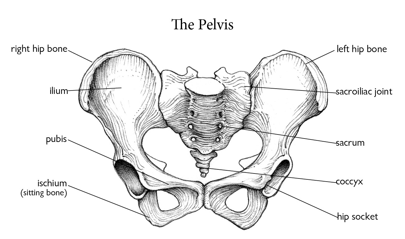 help-for-the-hips