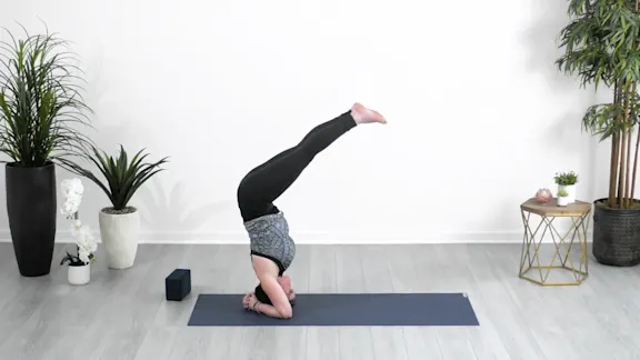 Explore Your Core: 30-Minute Flow, Part 2