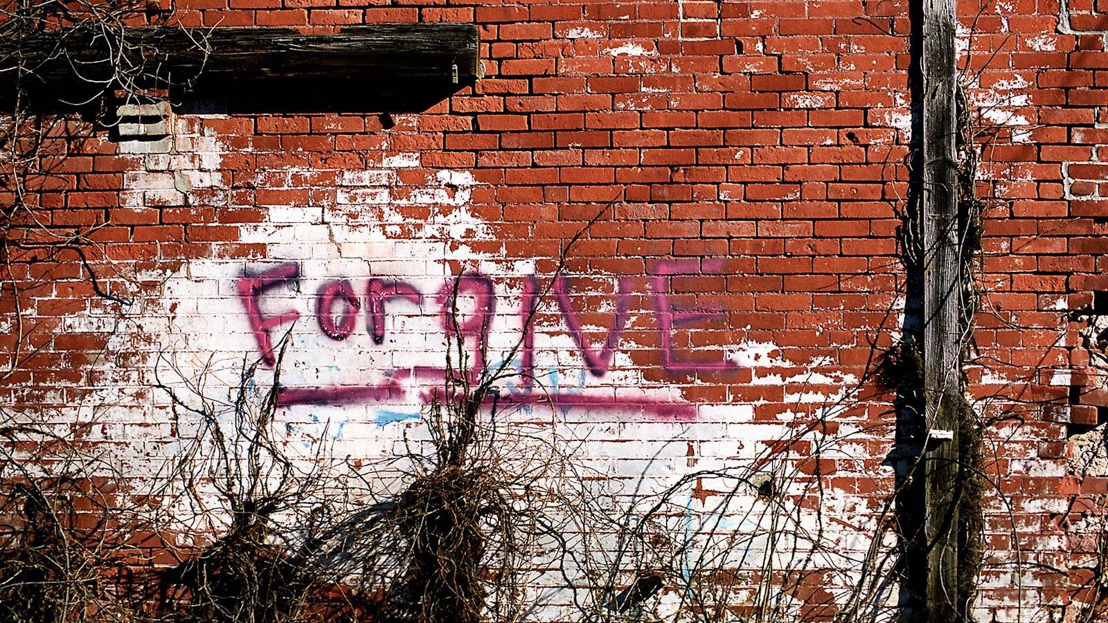 Yoga’s Guide to Forgiveness