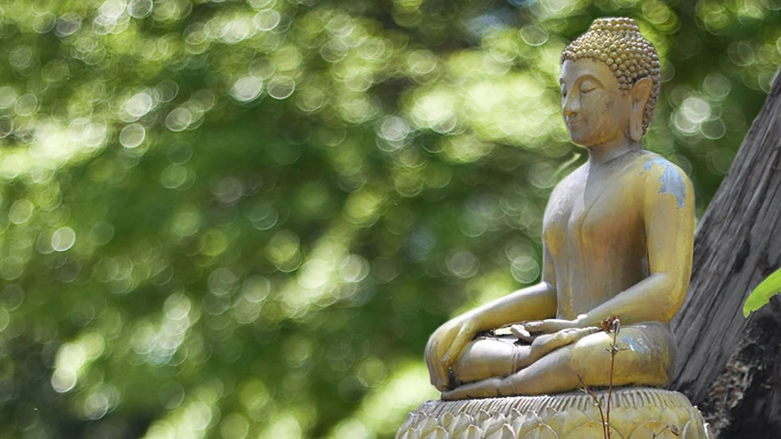 Encuentra la Postura Perfecta para Meditar