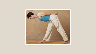 Parshvottanasana: The Lateral Extension