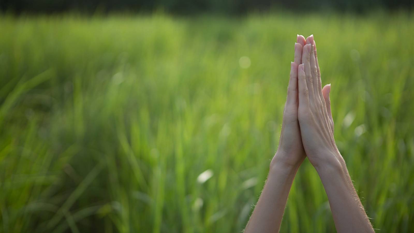 Do Pot-Friendly Yoga Classes Go Too Far?