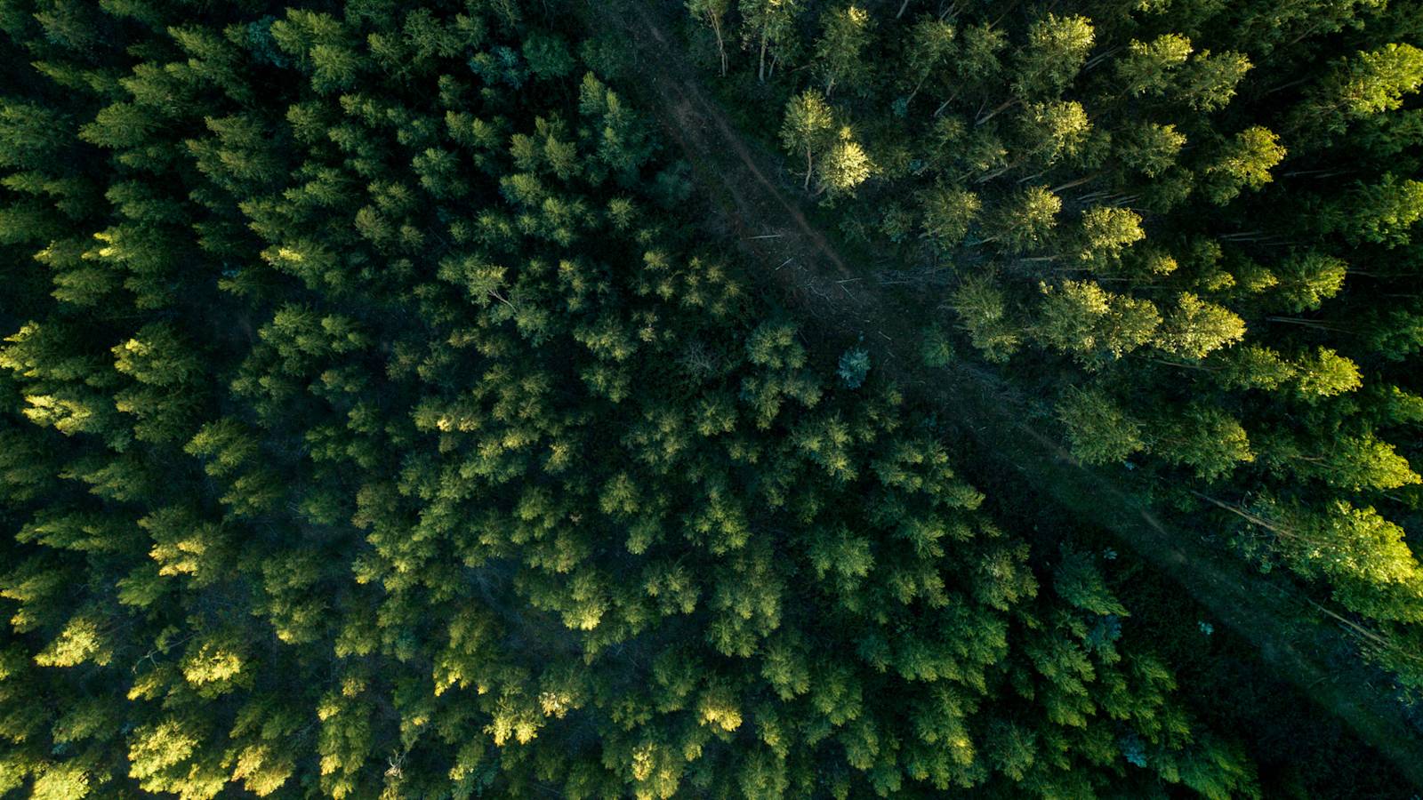 Guided Full Body Relaxation