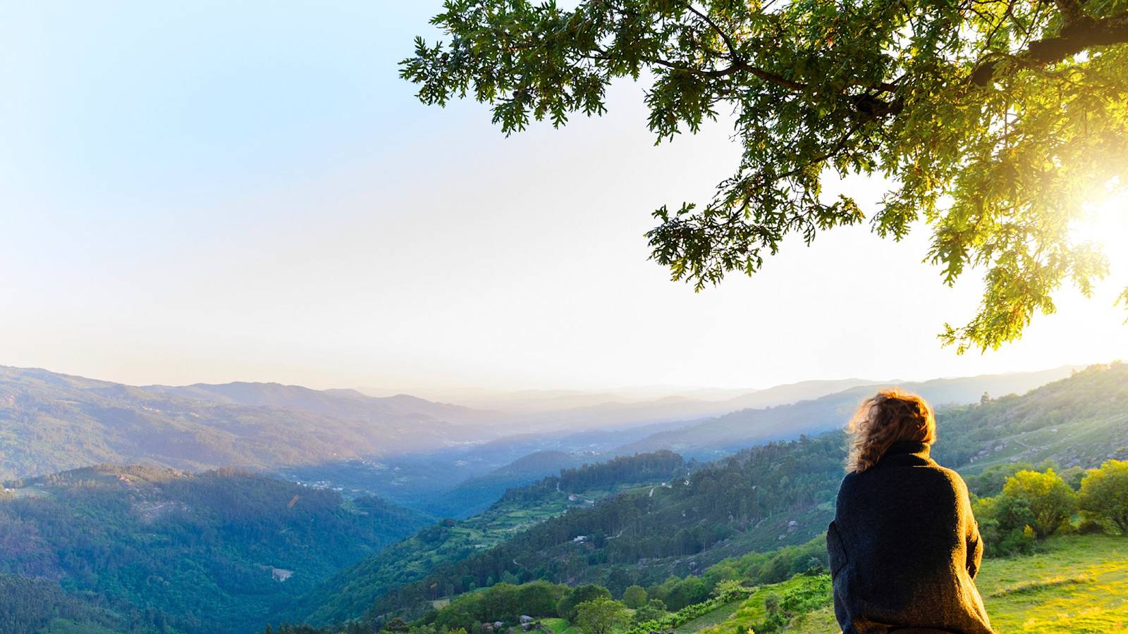 Making Peace with Desire