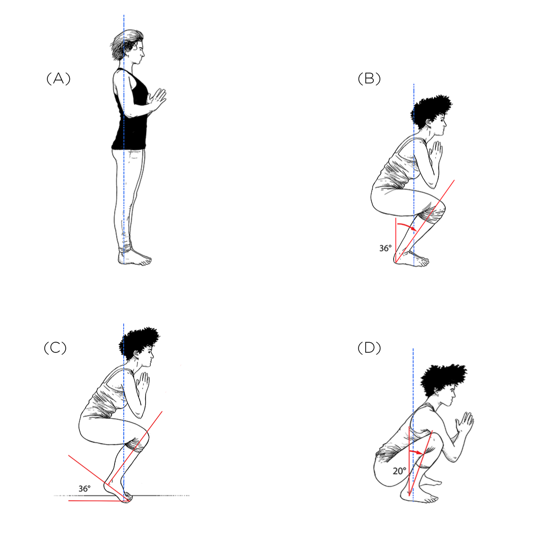 How to Do a Squat Exercise: Benefits and Squatting Position Form