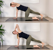 Bird Dog Exercise Progression