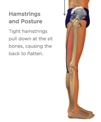 Healing (or Preventing) Hamstring Injuries
