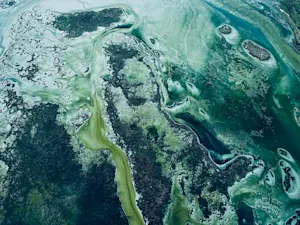 THUMBNAIL_Blueprint for a Great Culture