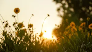 THUMBNAIL_3 Steps to Better Feedback