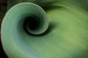 THUMBNAIL_Delete the Beginning