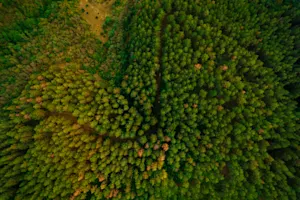 THUMBNAIL_Build Trust from Day One