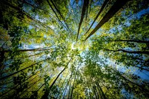 THUMBNAIL_Phones Aren’t the Problem