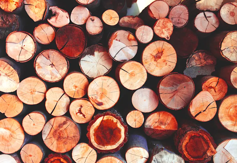 THUMBNAIL_When You’re the Bridge