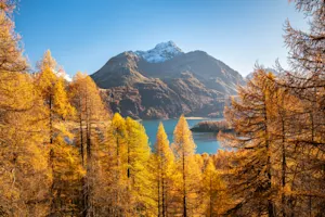 THUMBNAIL_Feedback That Empowers